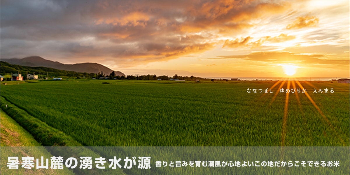 お米
